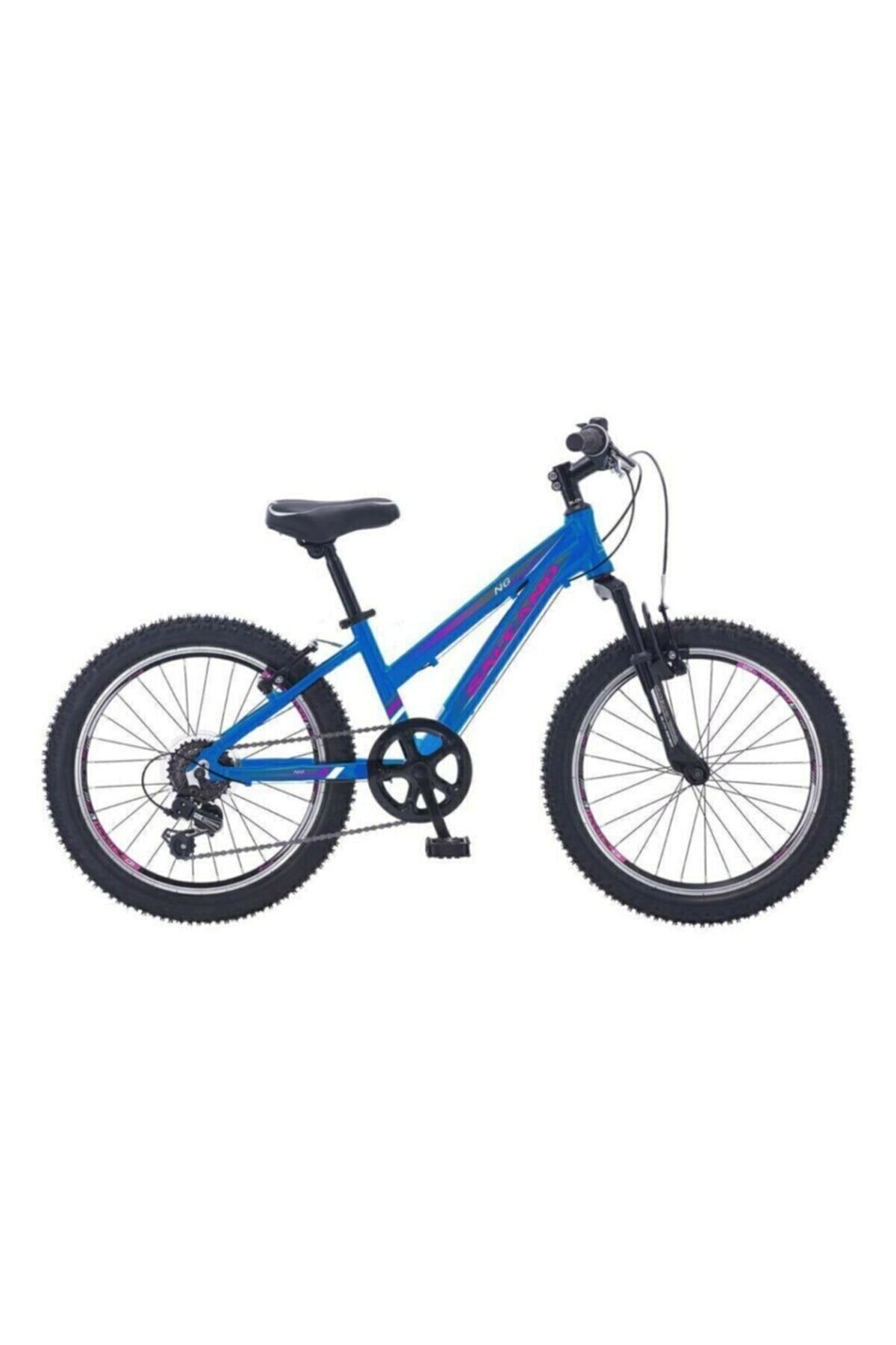 Salcano NG 950 20 Kız çocuk bisikleti lacivert mor
