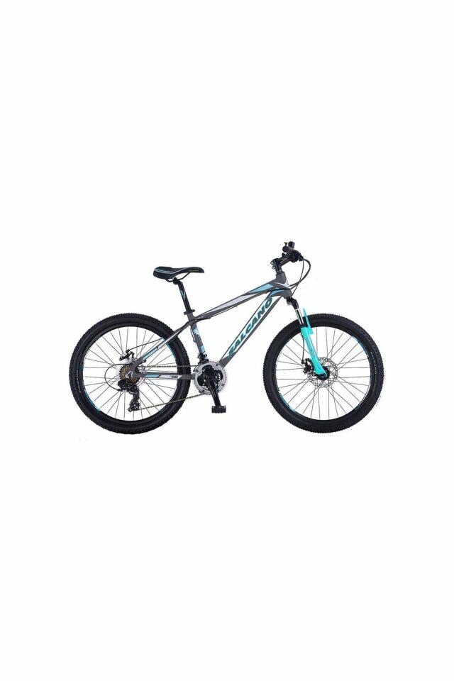 Salcano NG 750 29 MD JANT DİSK FREN DAĞ BİSİKLETİ MAT GRİ BEYAZ TURKUAZ 19 KADRO